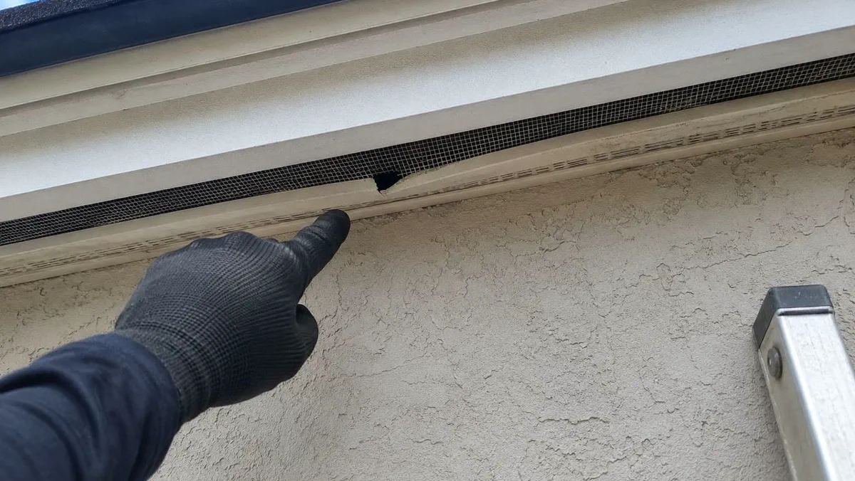 Inspecting a soffit return on an Orlando roofline for animal entry points